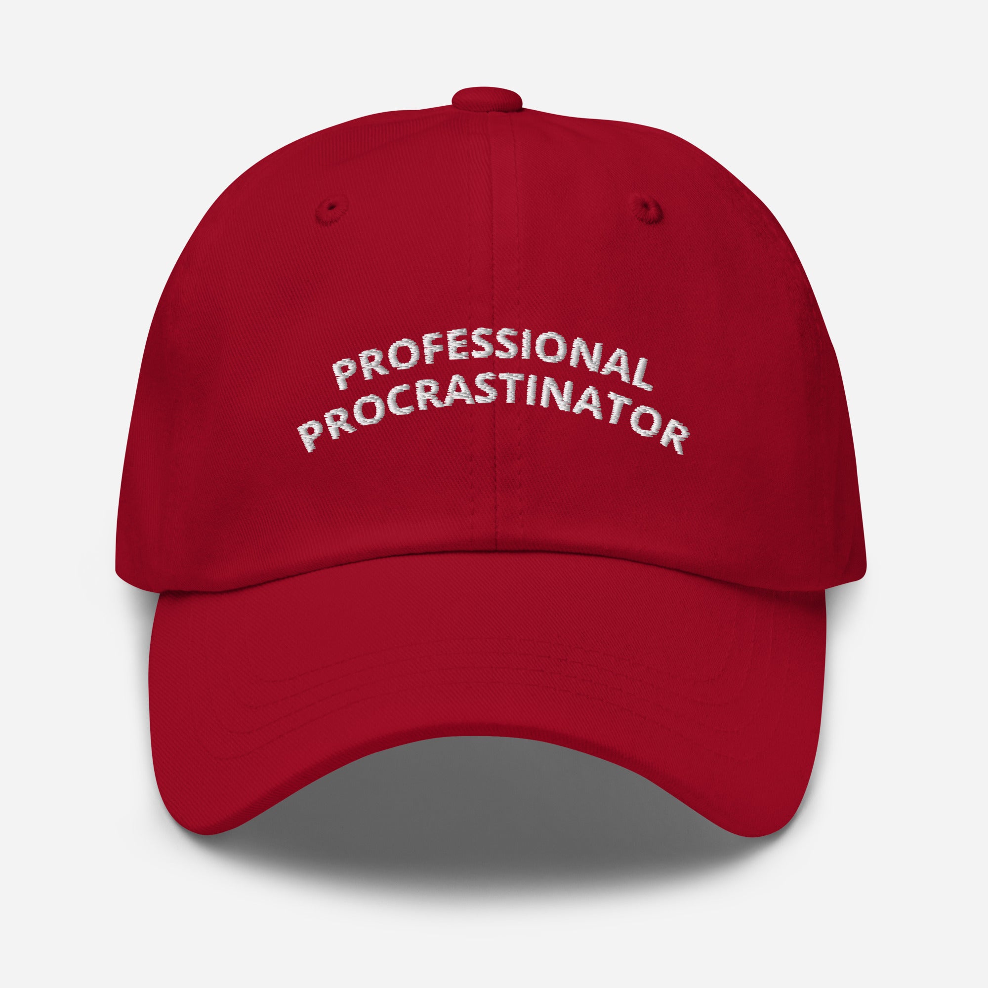Professional Procrastinator Dad Hat