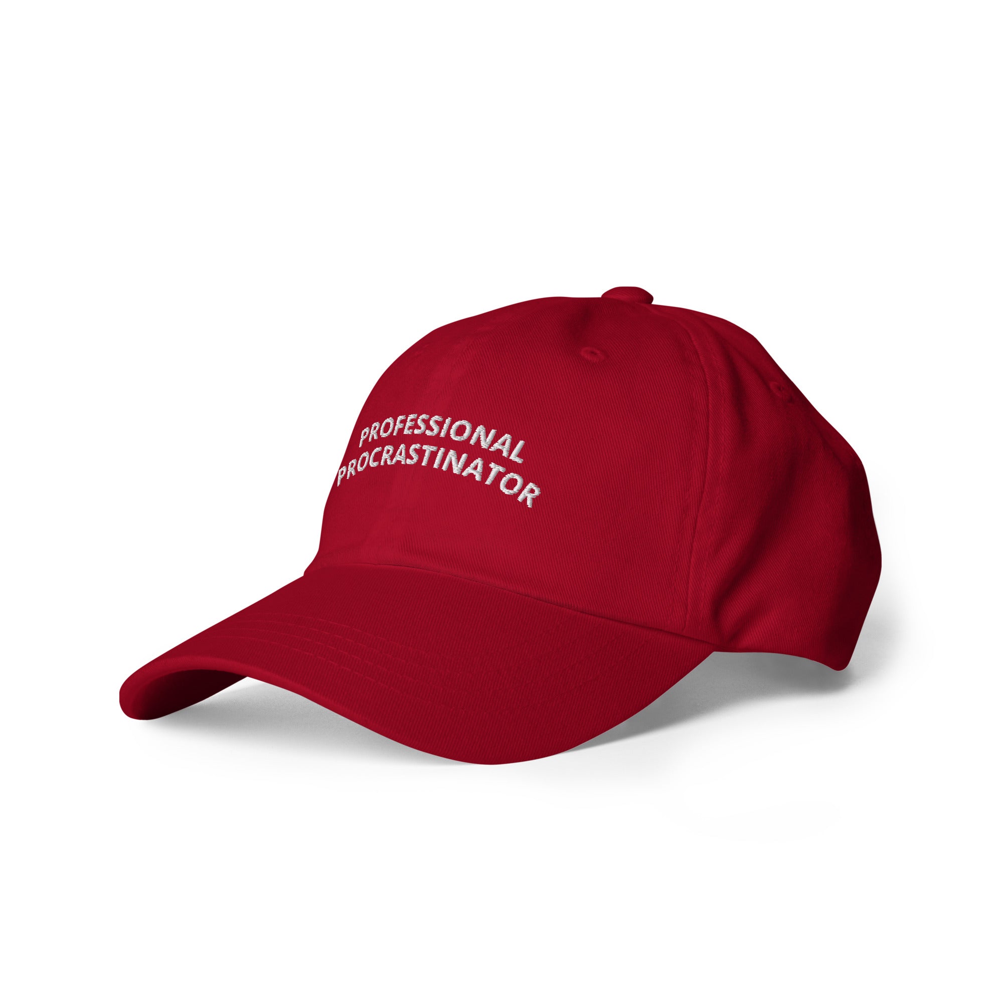 Professional Procrastinator Dad Hat