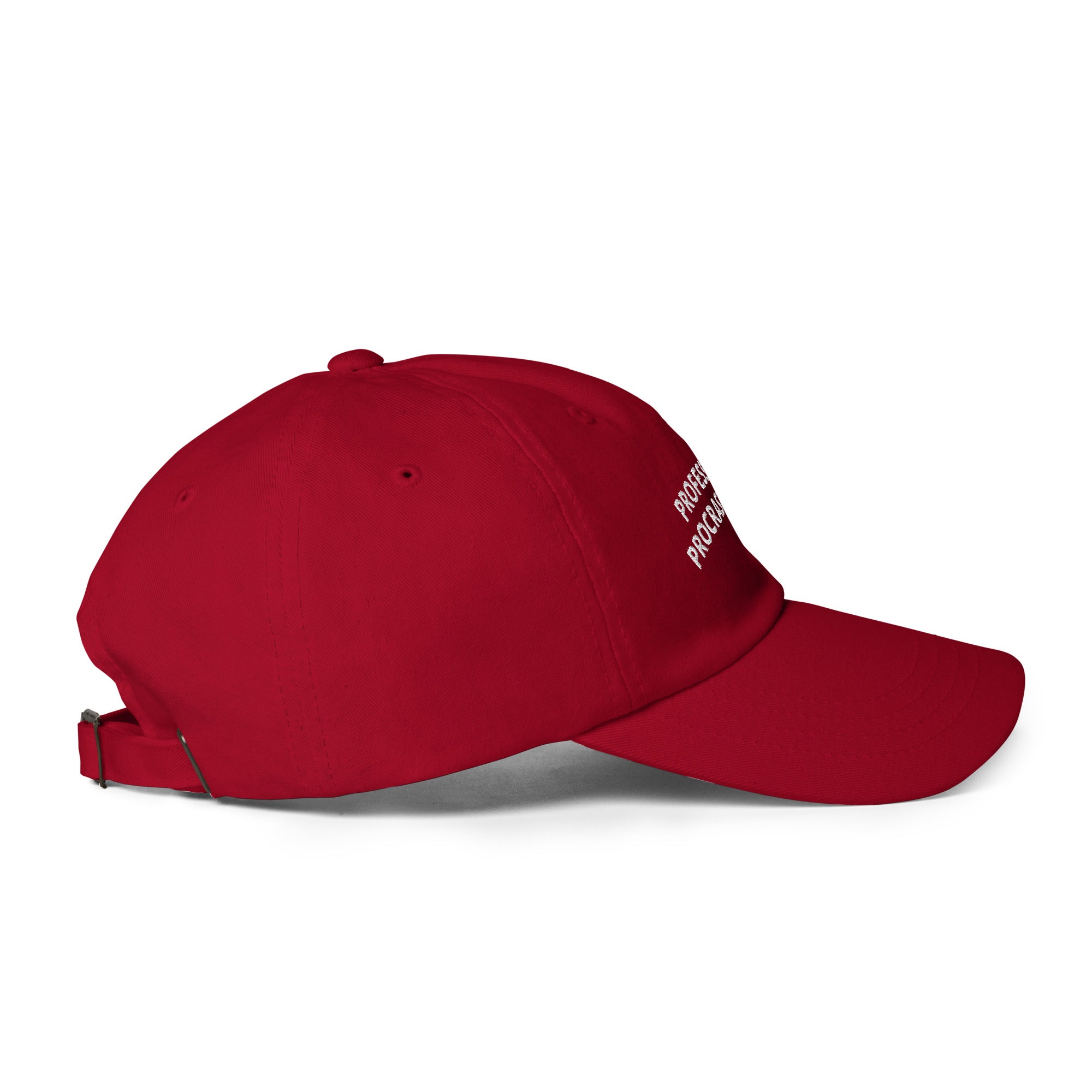 Professional Procrastinator Dad Hat