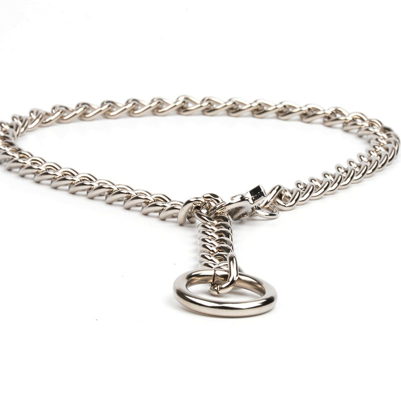 Elian Choker Necklace