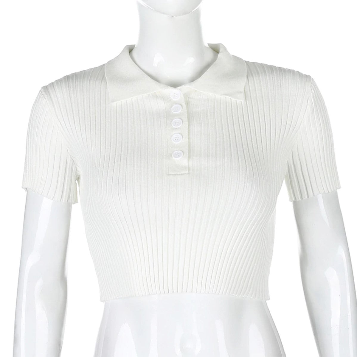 Queenie Ribbed Crop Top